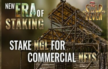 Gold Fever fortalece su presencia en el mercado con la adquisición de una participación en sistema de infraestructura