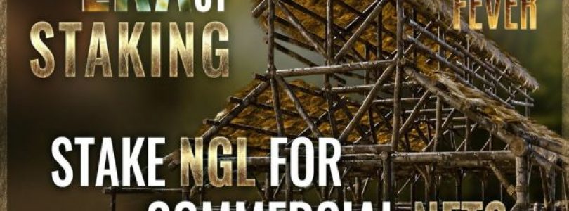 Gold Fever fortalece su presencia en el mercado con la adquisición de una participación en sistema de infraestructura