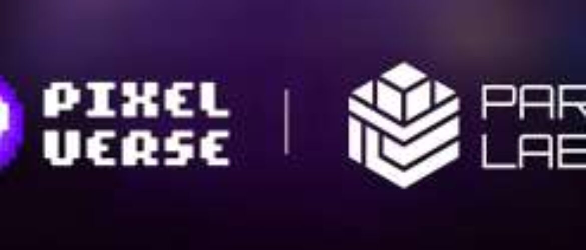 Param Labs: Innovación y Creatividad en el Desarrollo de Videojuegos Web3