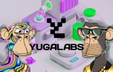 Reestructuración en Yuga Labs: el CEO regresa para liderar la transformación de la empresa