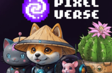 Pixelverse, estudio de juegos ciberpunk, recauda 5.5 millones de dólares para potenciar la experiencia de juego en la web3